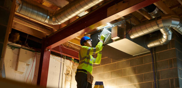 Best Air Duct Sanitizing Services  in Newark, OH