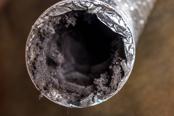 Best Air Duct Cleaning Company Near Me  in Newark, OH